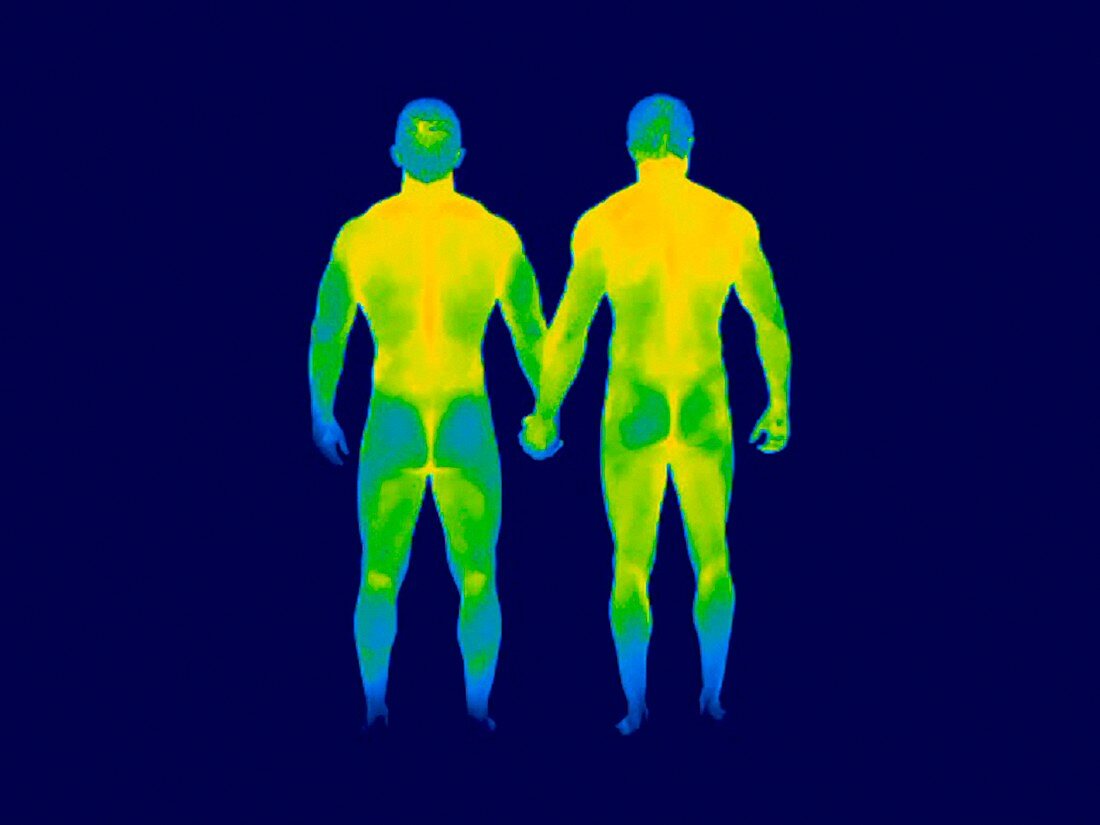 Male couple holding hands,thermogram