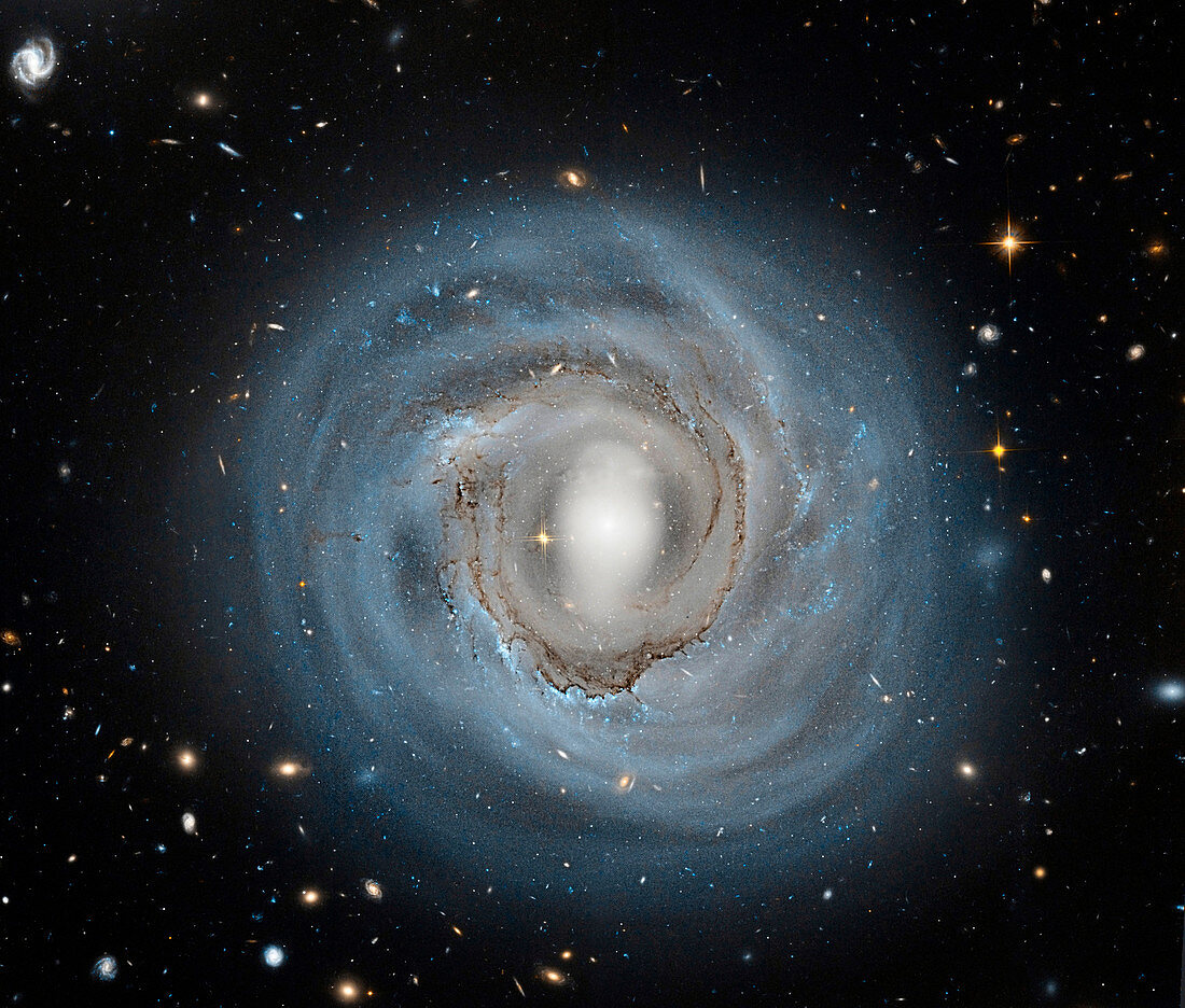 NGC 4921 spiral galaxy,Hubble image