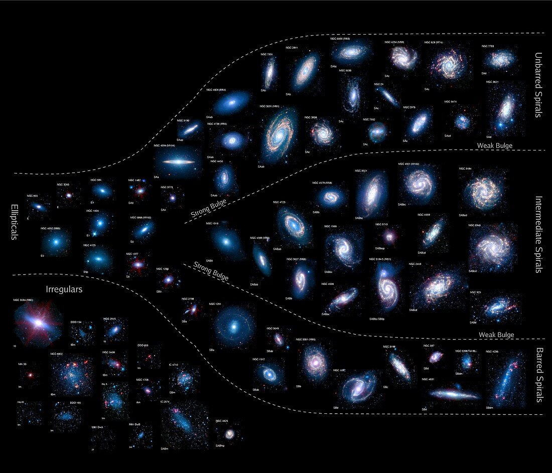 Earth's neighbouring galaxies