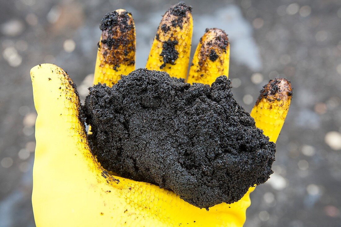 Hand full of tar sand
