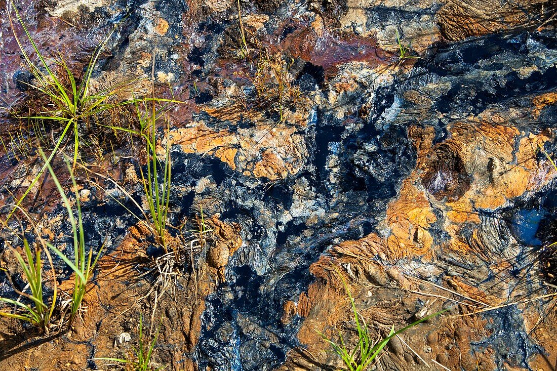 Bitumen leaching from tar sands