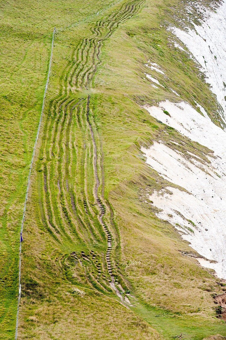 Eroded paths on the South West Coast
