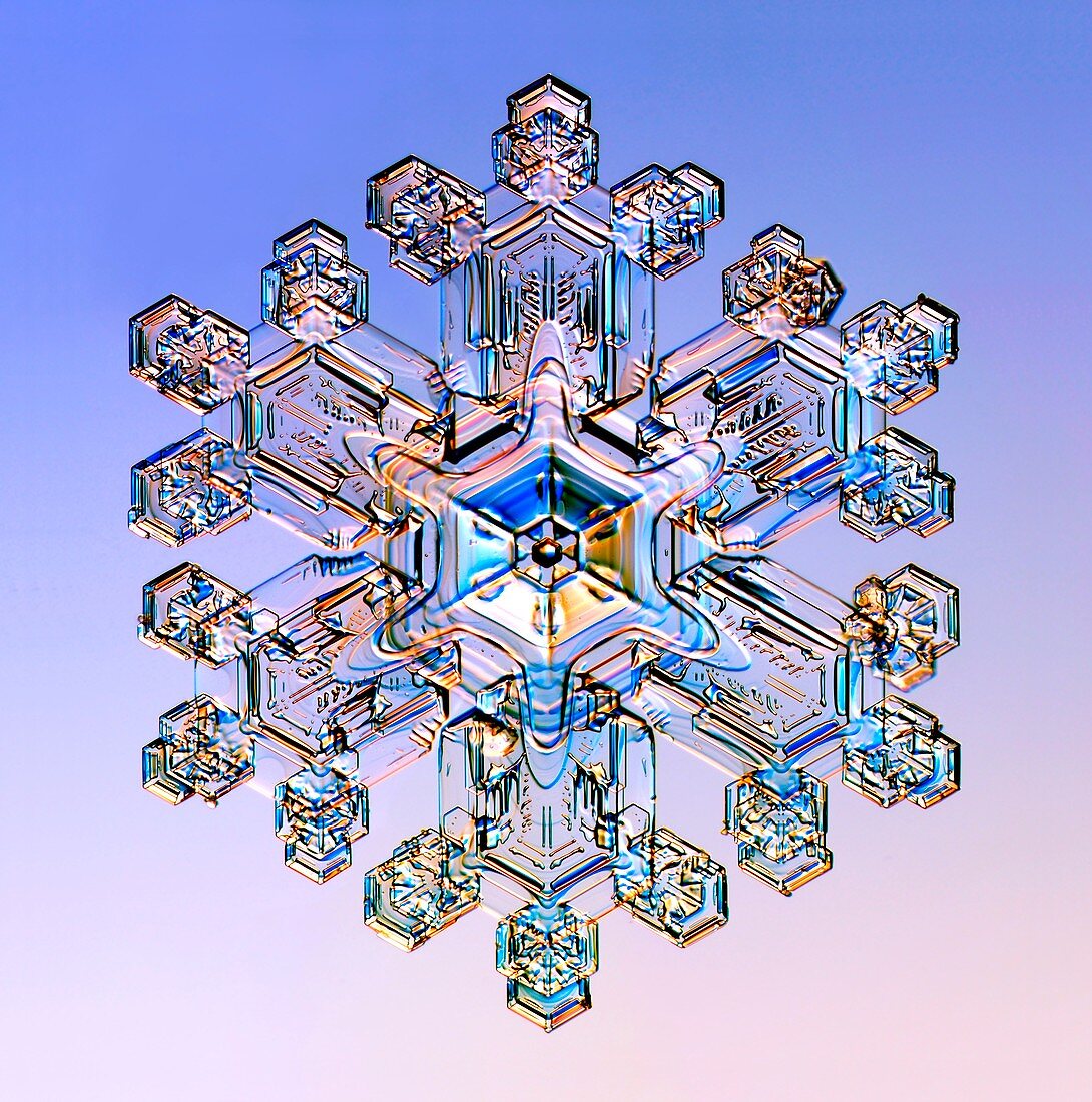 Snowflake,light micrograph