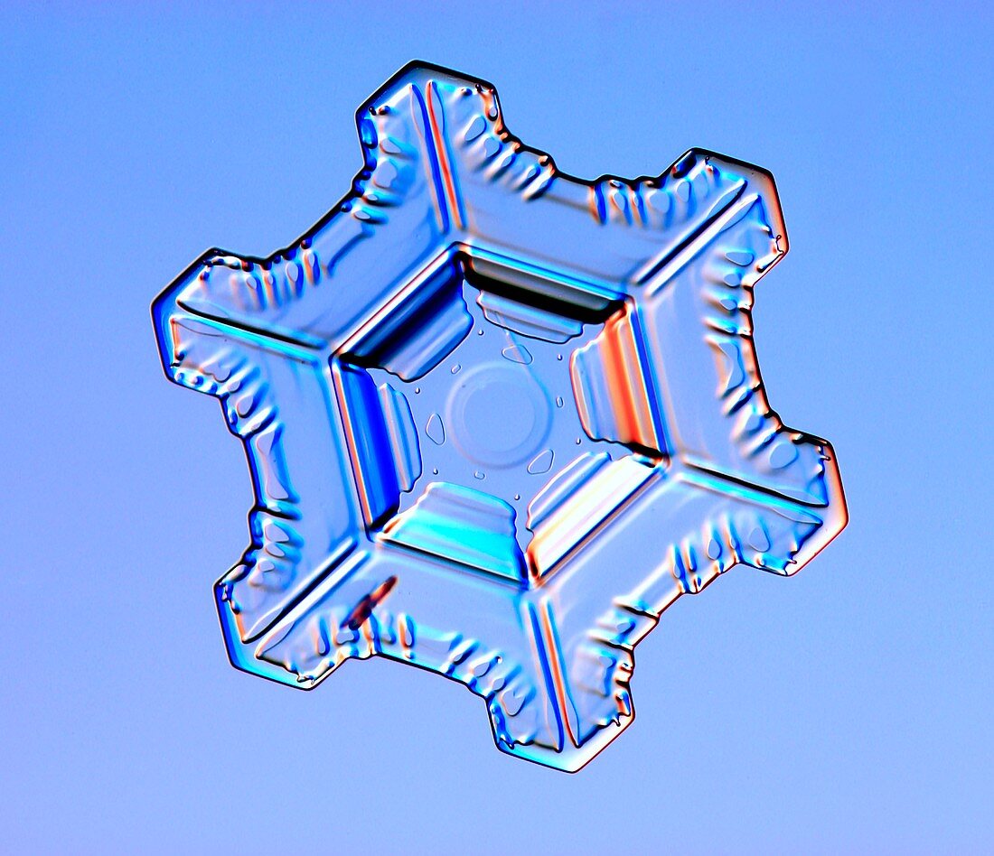 Snowflake,light micrograph