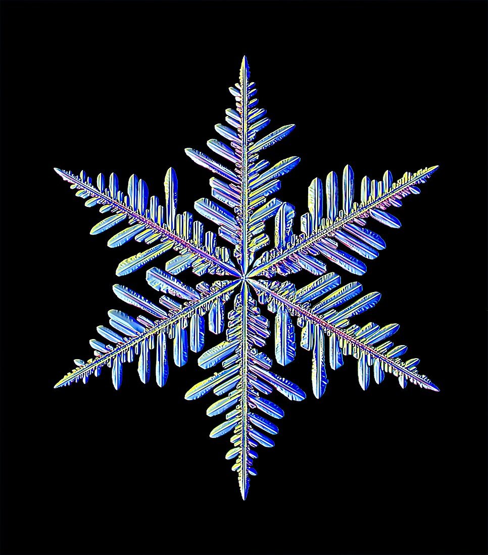 Snowflake,light micrograph