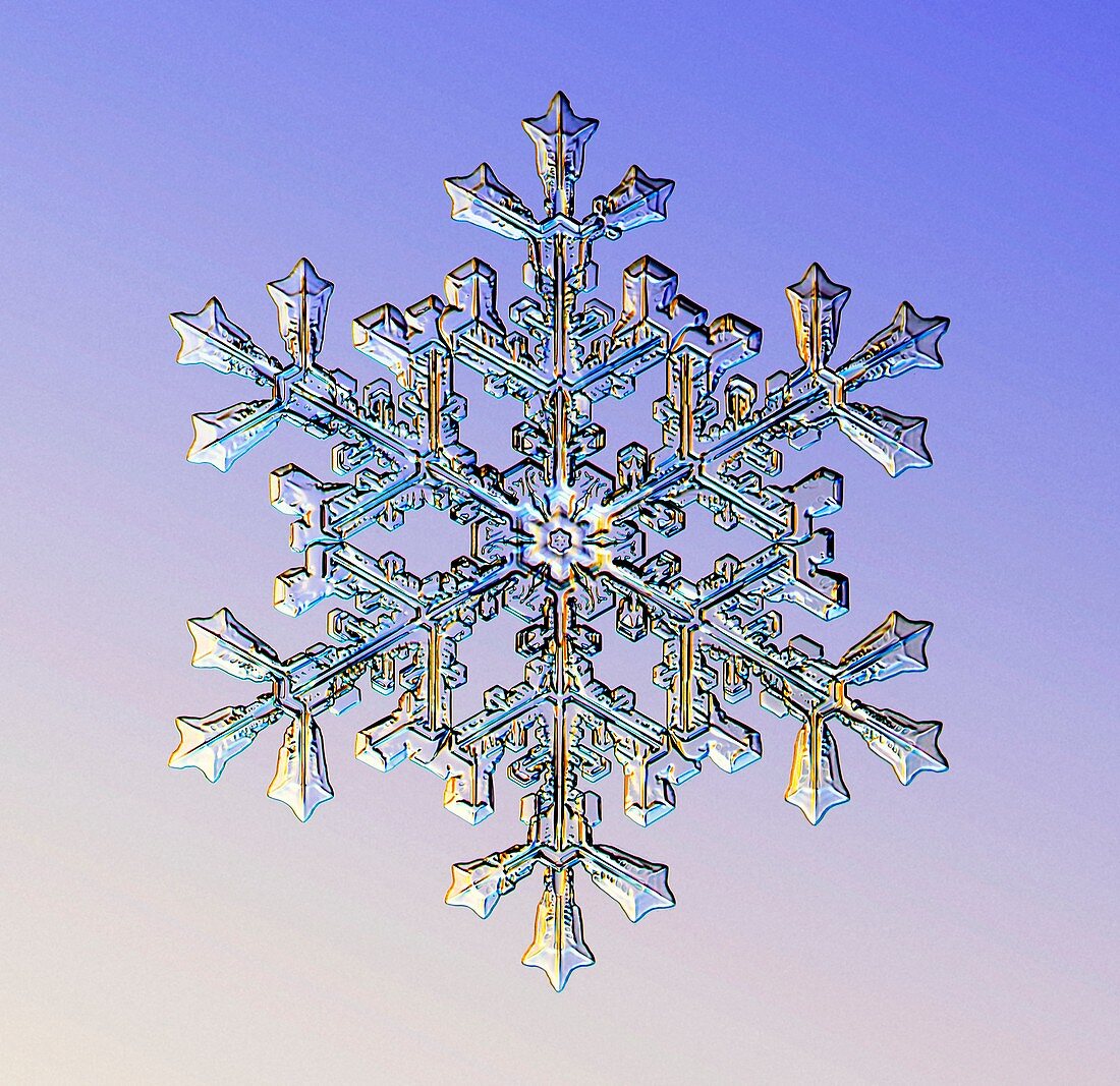Snowflake,light micrograph