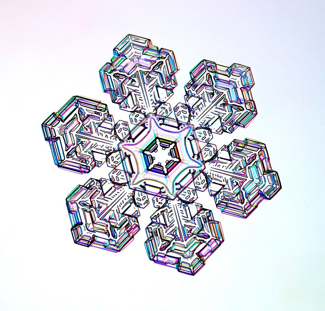 Snowflake,light micrograph