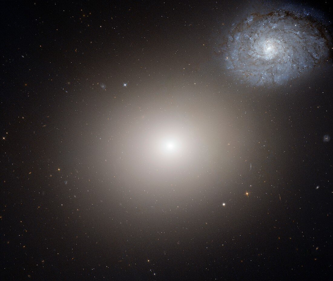 Arp 116 galaxy pair,Hubble image