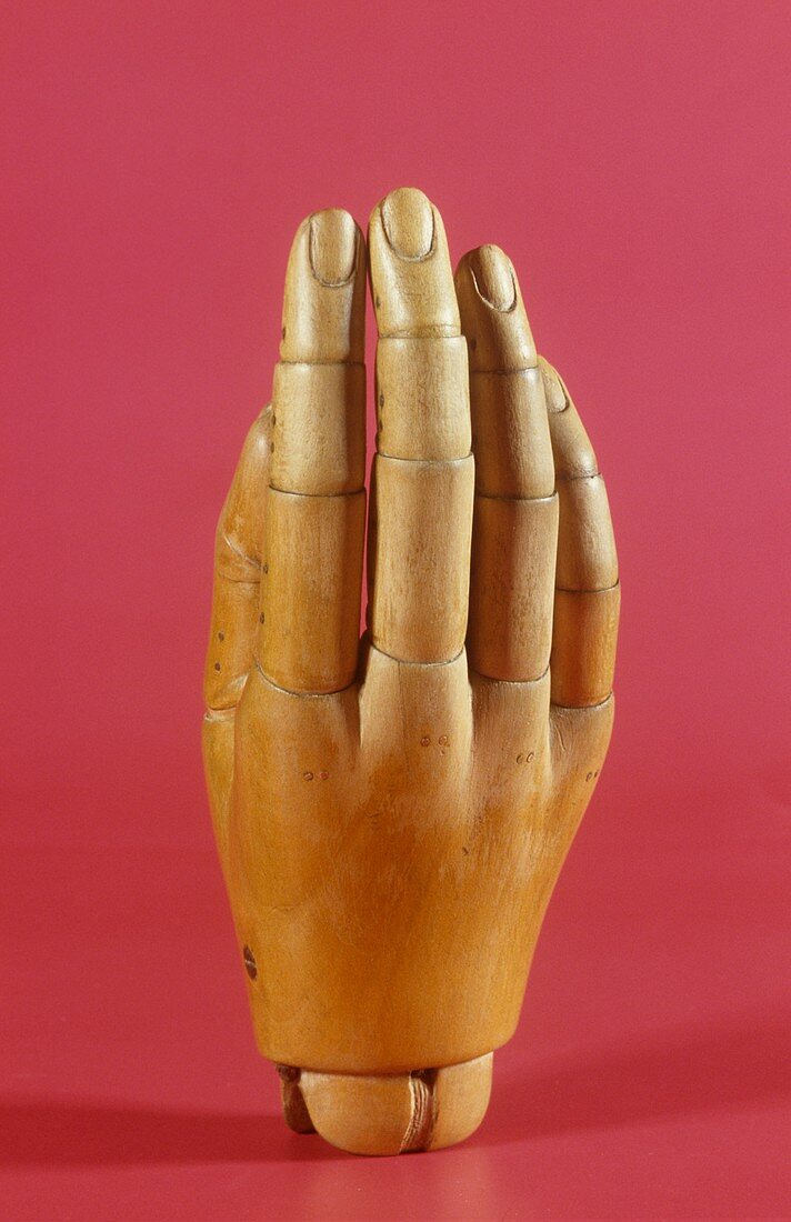 Wooden prosthetic hand,circa 1920