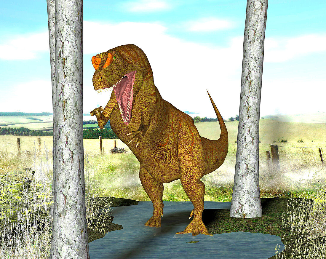 Allosaurus dinosaur,illustration
