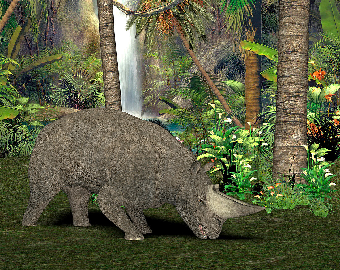 Arsinoitherium prehistoric mammal