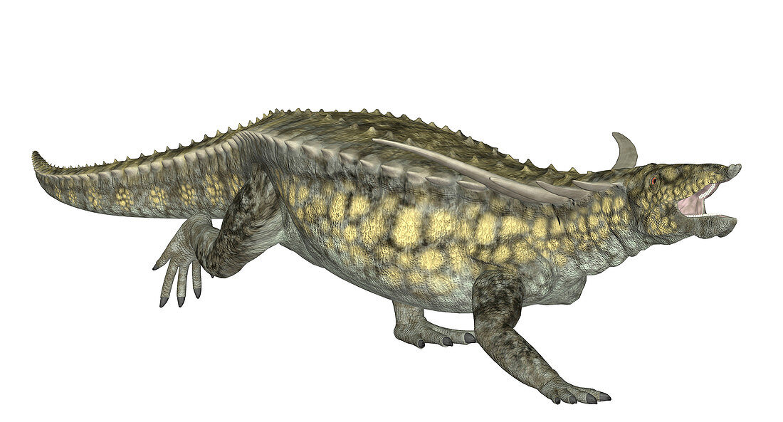 Desmatosuchus dinosaur,illustration