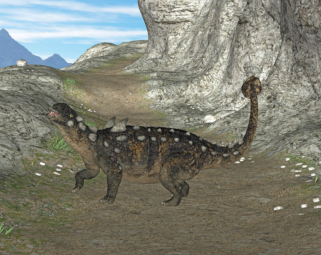 Euoplocephalus dinosaur,illustration
