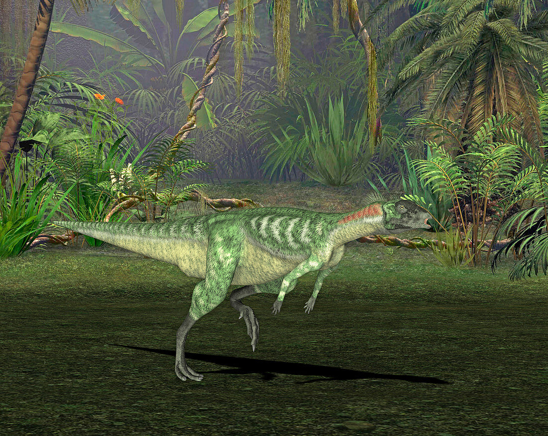 Lesothosaurus dinosaur,illustration