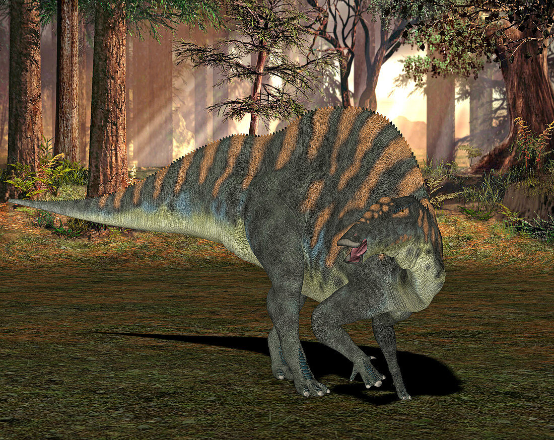 Ouranosaurus dinosaur,illustration