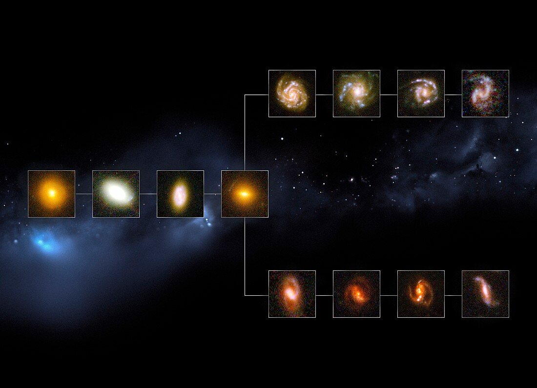 Galaxy types 11 billion years ago