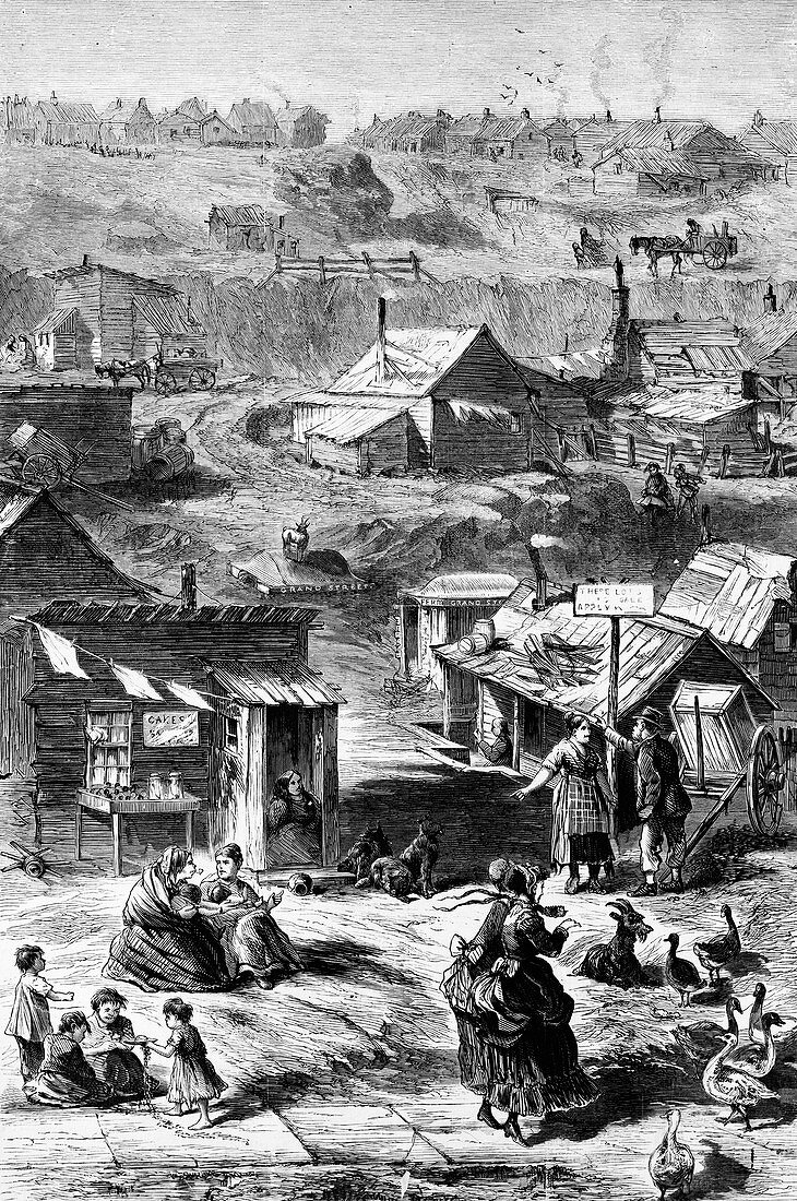 Squatters in New York City,1869