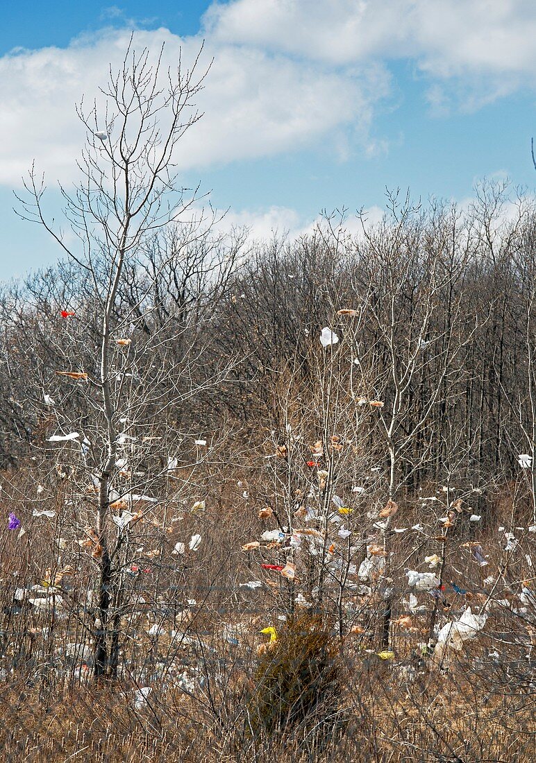 Wind-blown rubbish