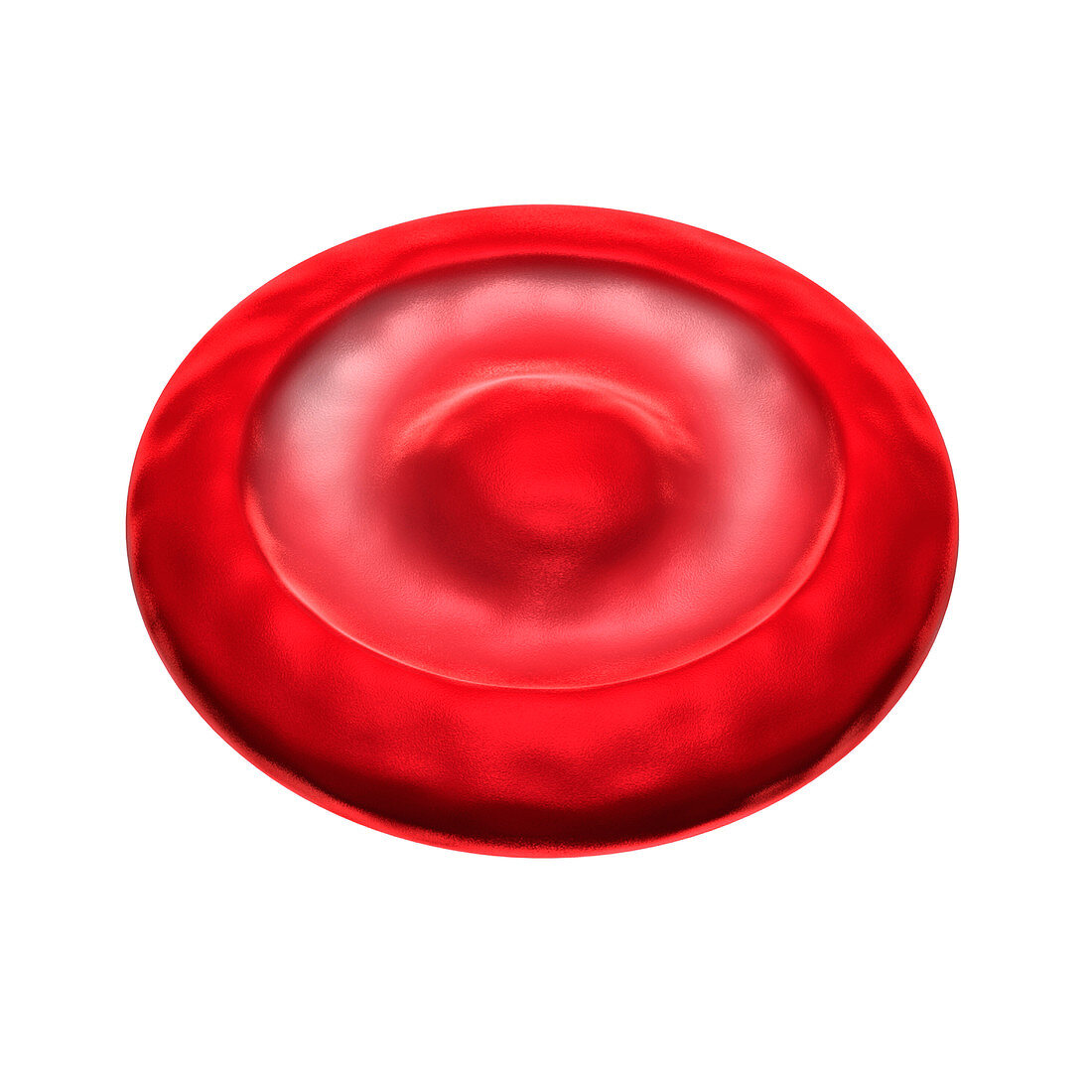 Target cell,illustration