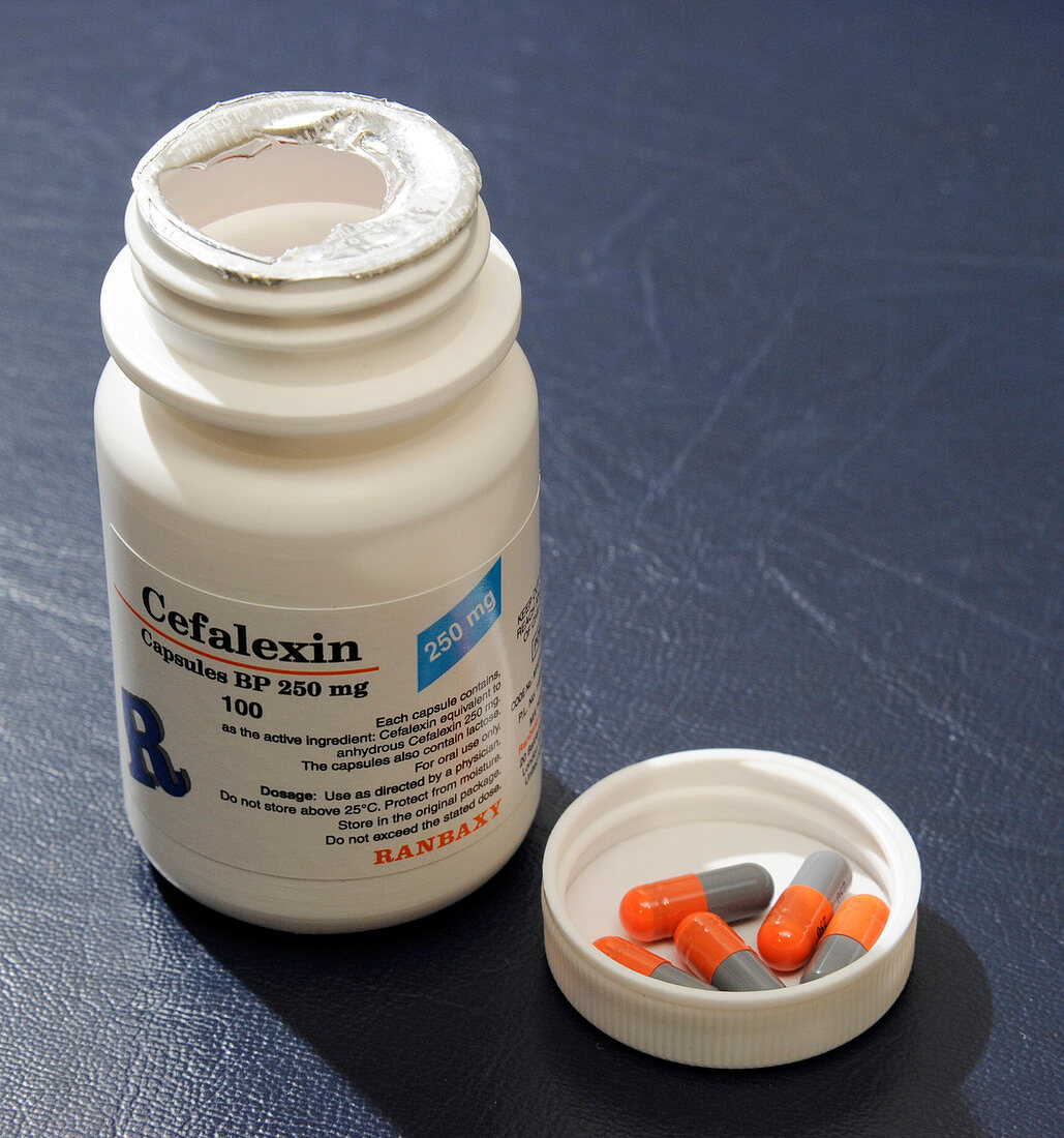 Cefalexin antibiotic drug