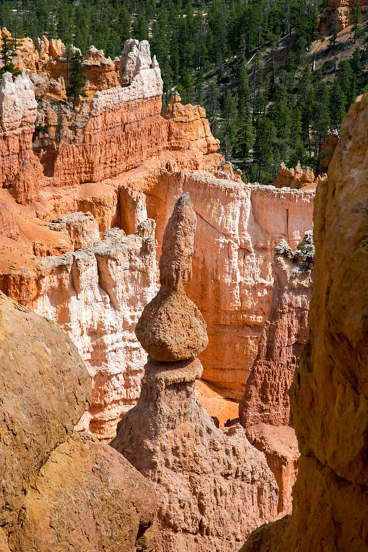 Sandstone hoodoo,Bryce Canyon,USA
