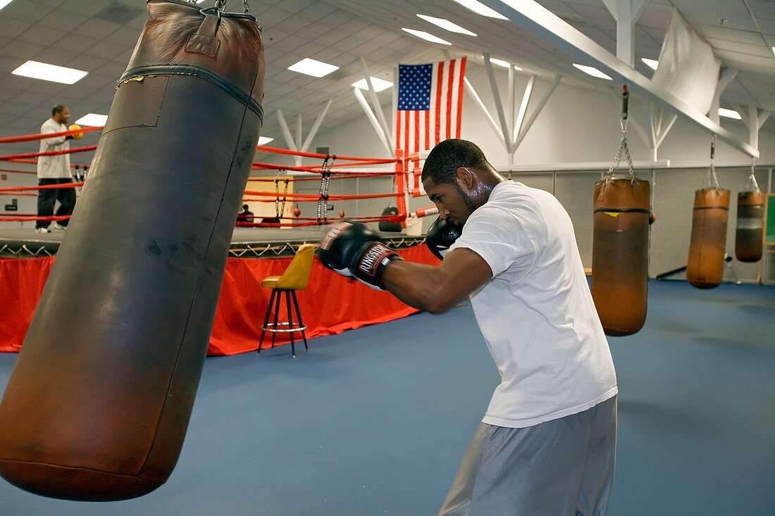 Boxer training