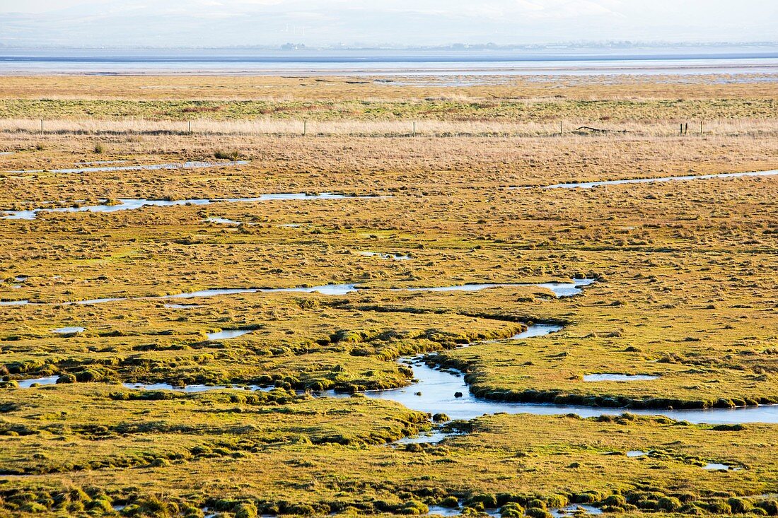 The salt marsh or Merse at Caelaverock
