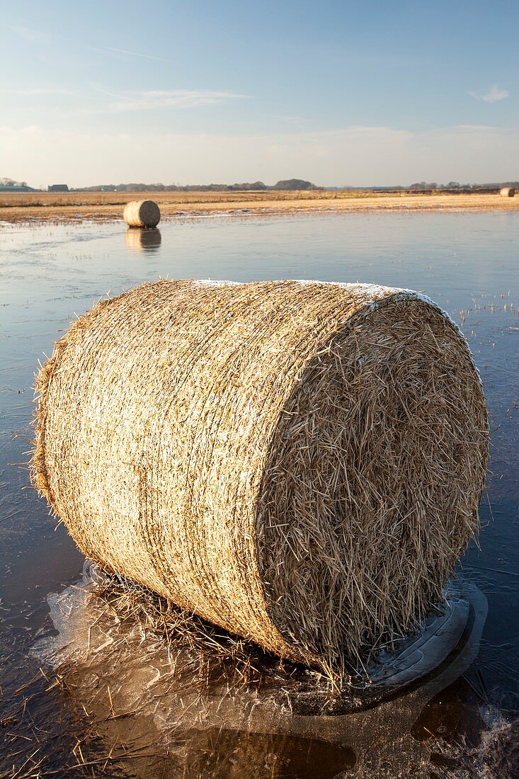 Straw bales on a flooded field