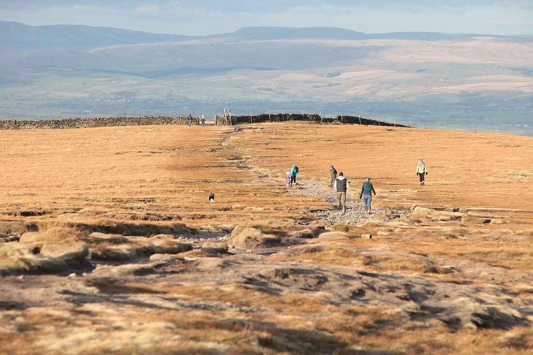 Walkers near the summit of Pendle hill,