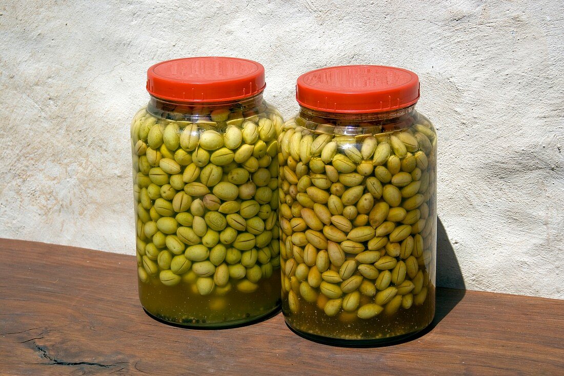 Home made olive curing