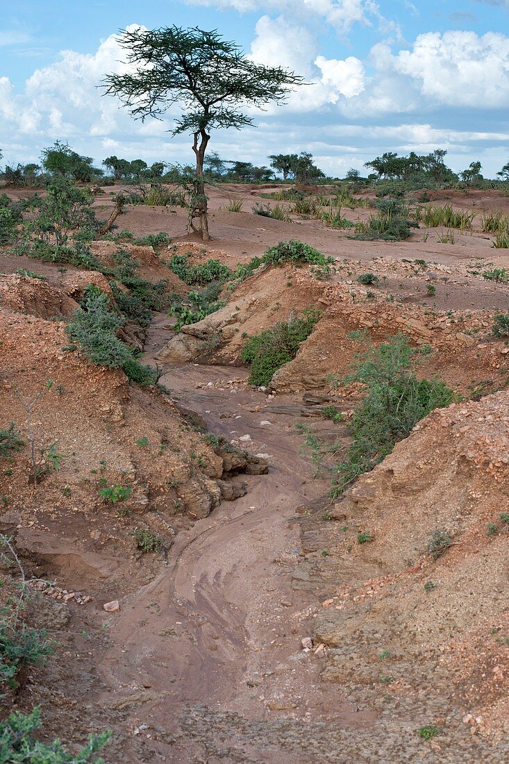 Soil erosion due to water runoff