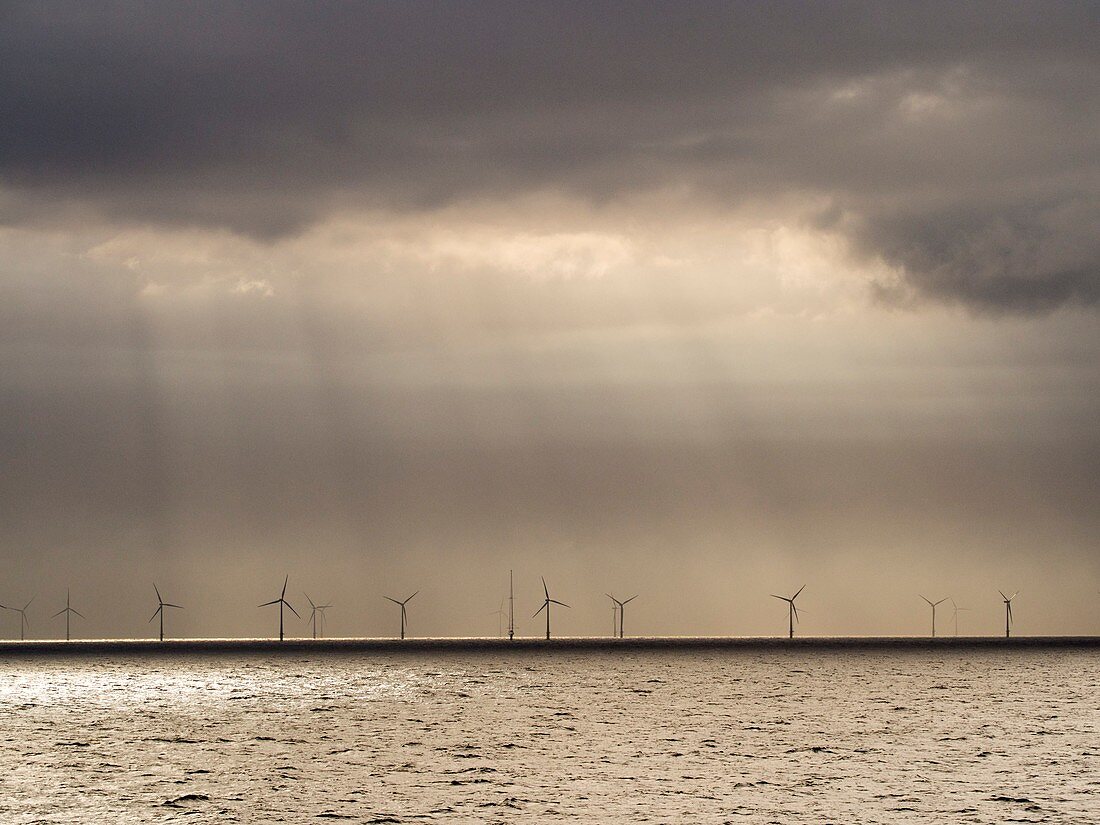 An offshore wind farm in Dutch waters