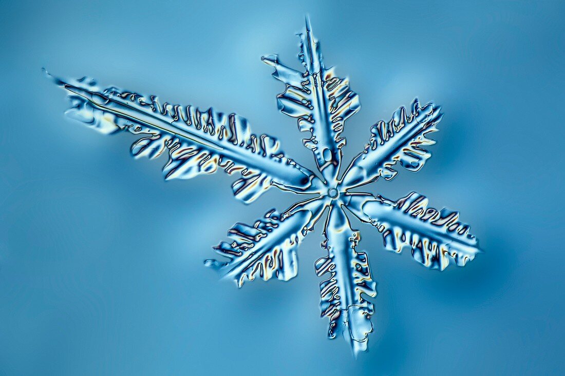 Snowflake crystal,LM
