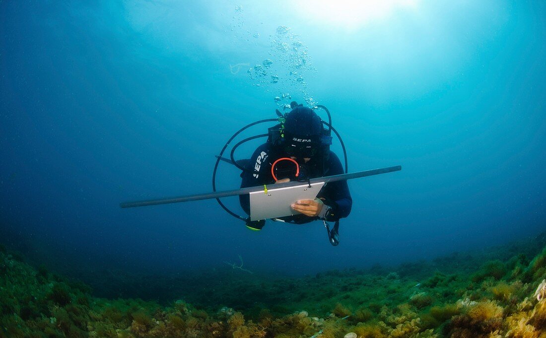 underwater survey