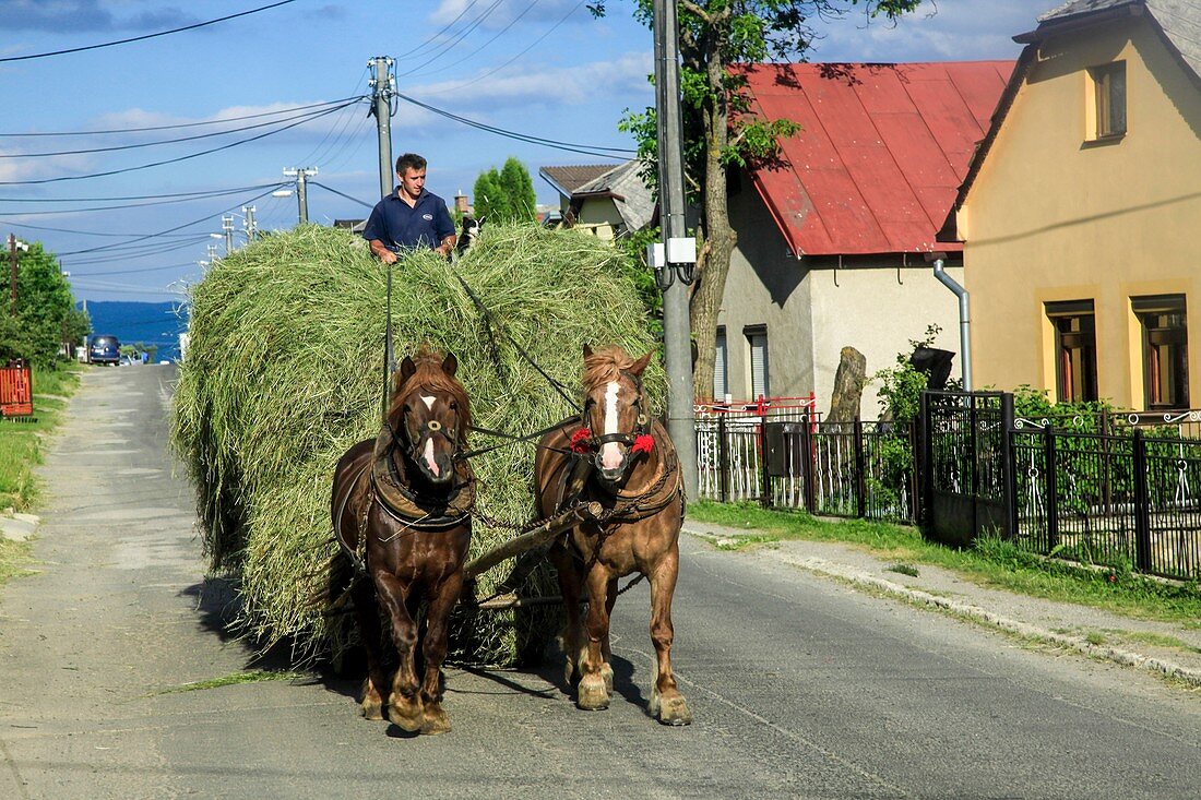 Rural Slovakia