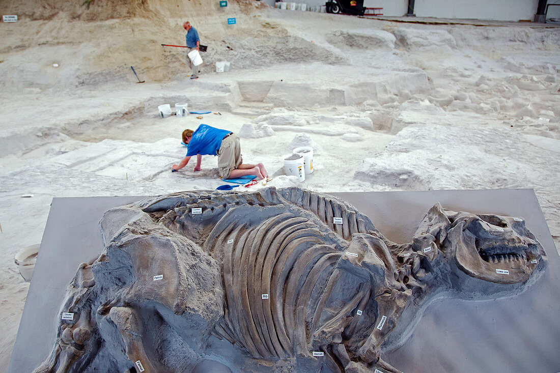 Ashfall Fossil Beds display