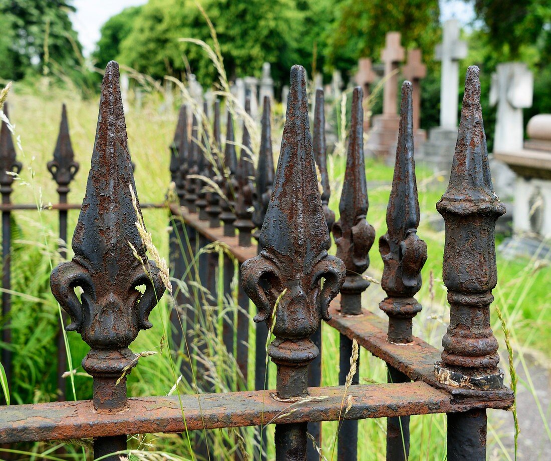Iron railing in urban cemetery