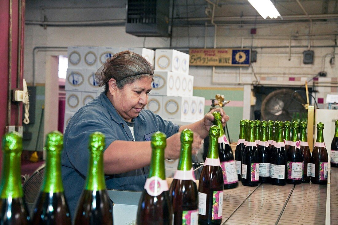 Worker packing bottles at a winery