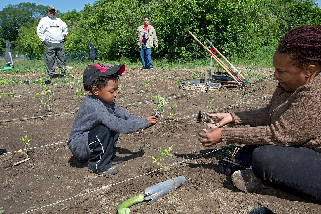 Volunteers at an urban farm,USA