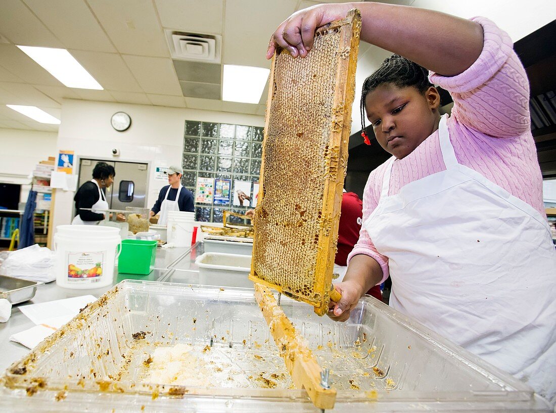 Girl uncapping honeycomb
