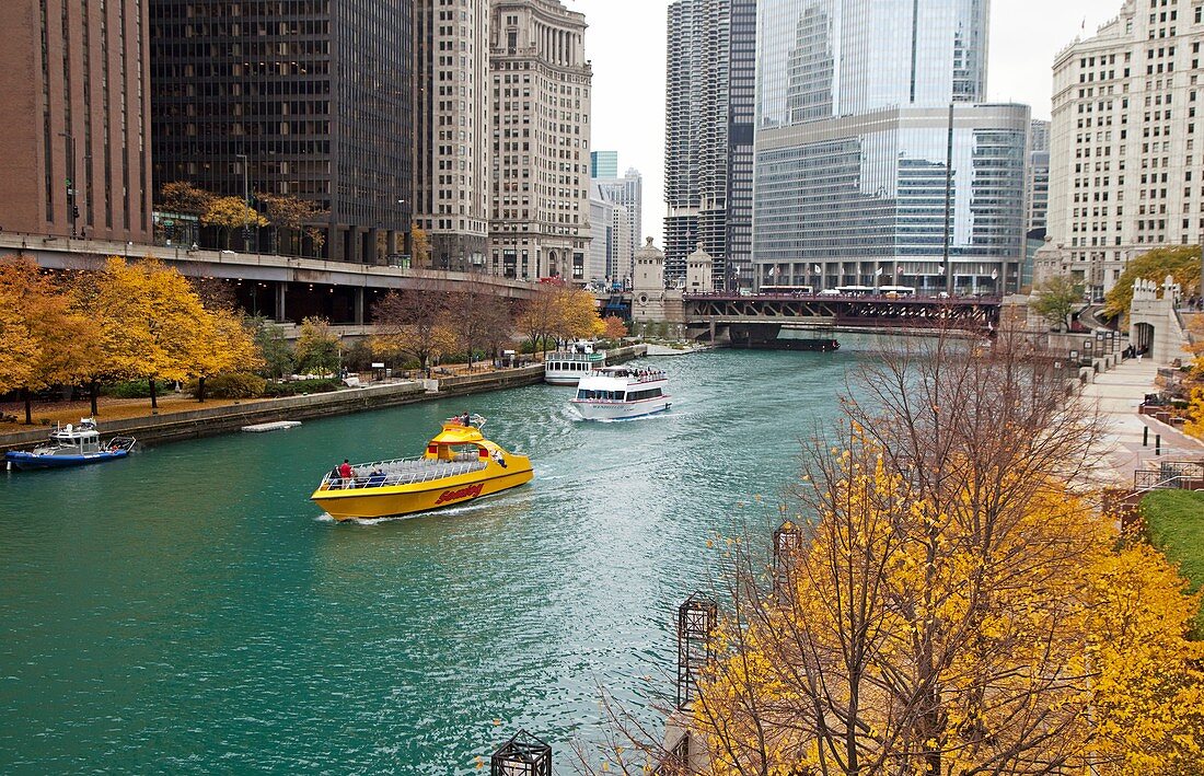 Chicago River,USA