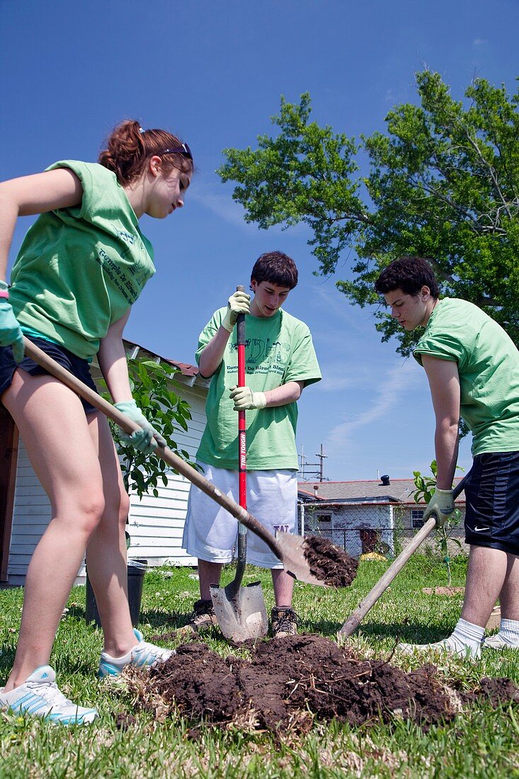 Volunteers planting trees,USA