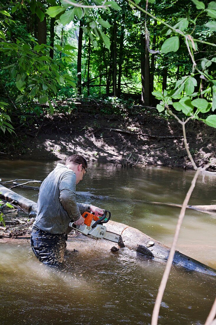 Volunteer clearing log jam