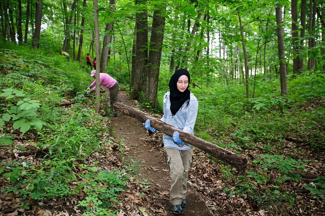 Volunteers clearing a woodland trail