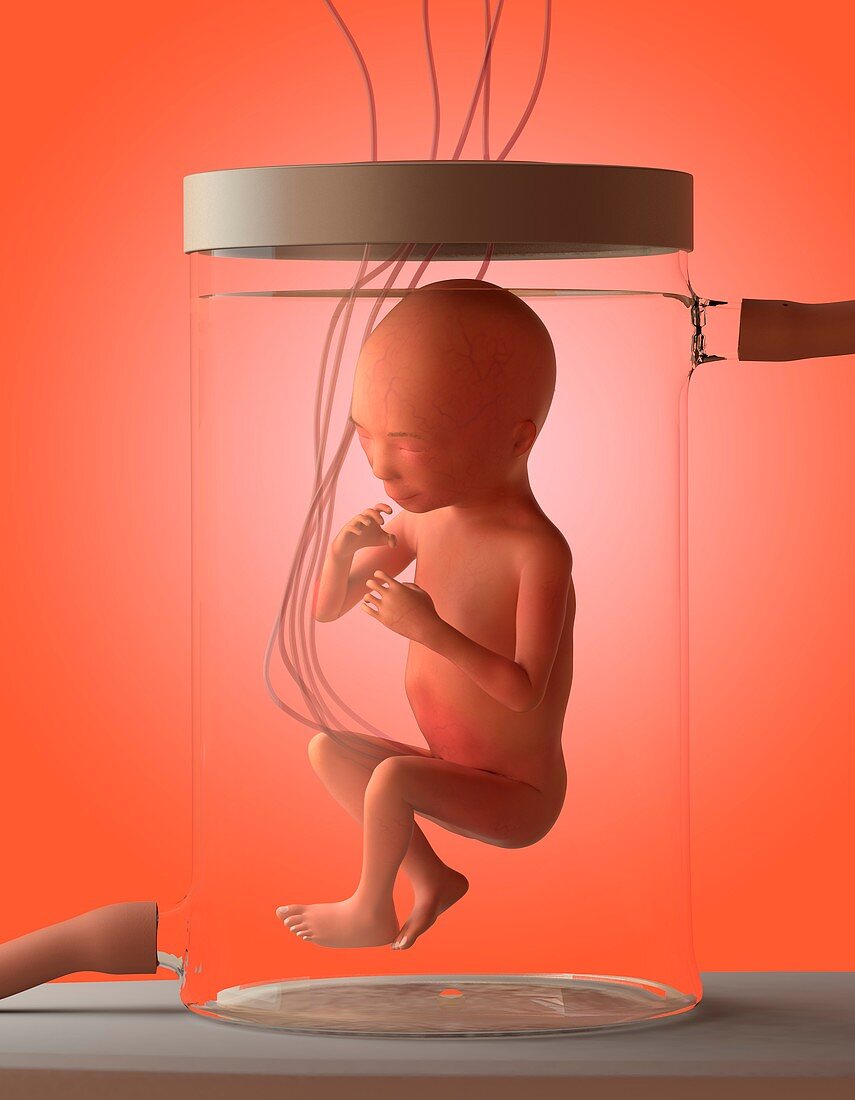 Foetus grown in a jar,conceptual image