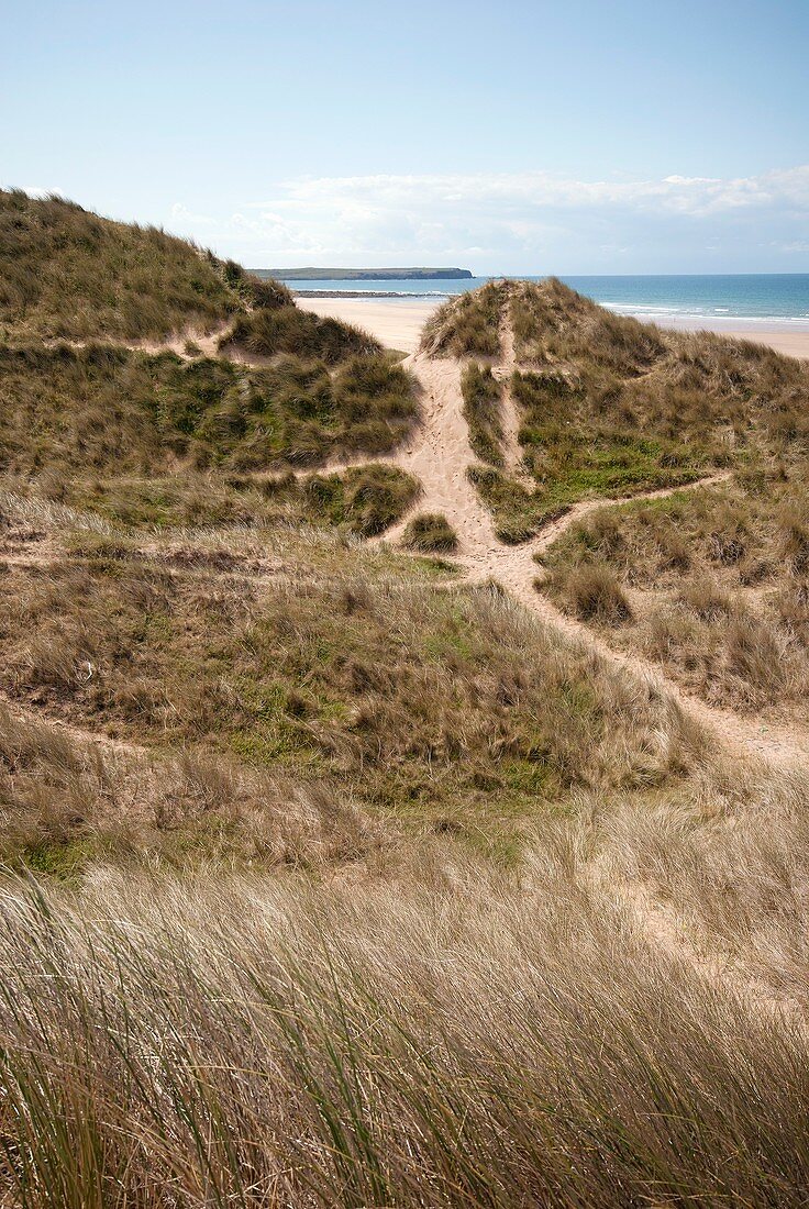 Sand dunes,Pembrokeshire,UK