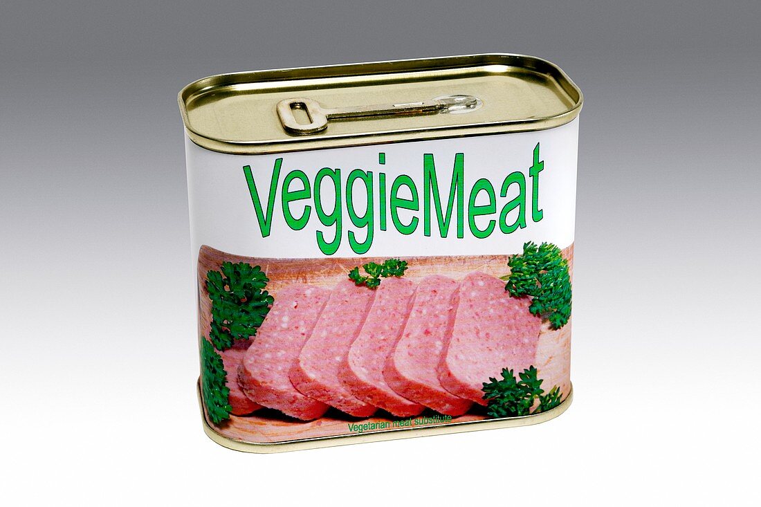 Can of vegetarian meat substitute