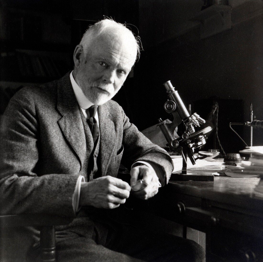 Edmund Wilson,US cell biologist
