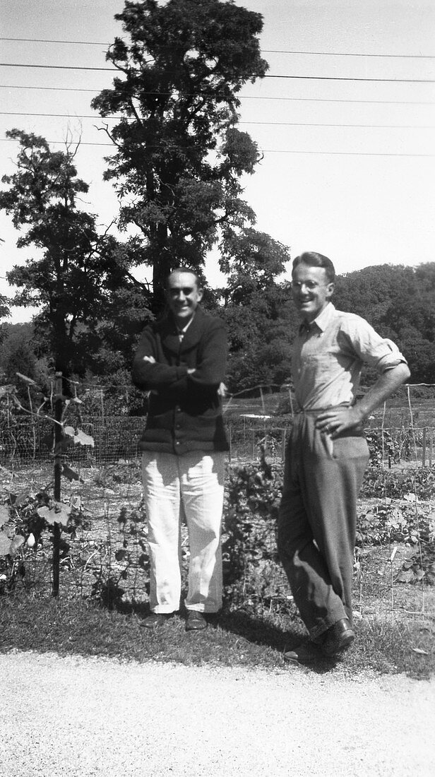 Gowen and Nason,US geneticists