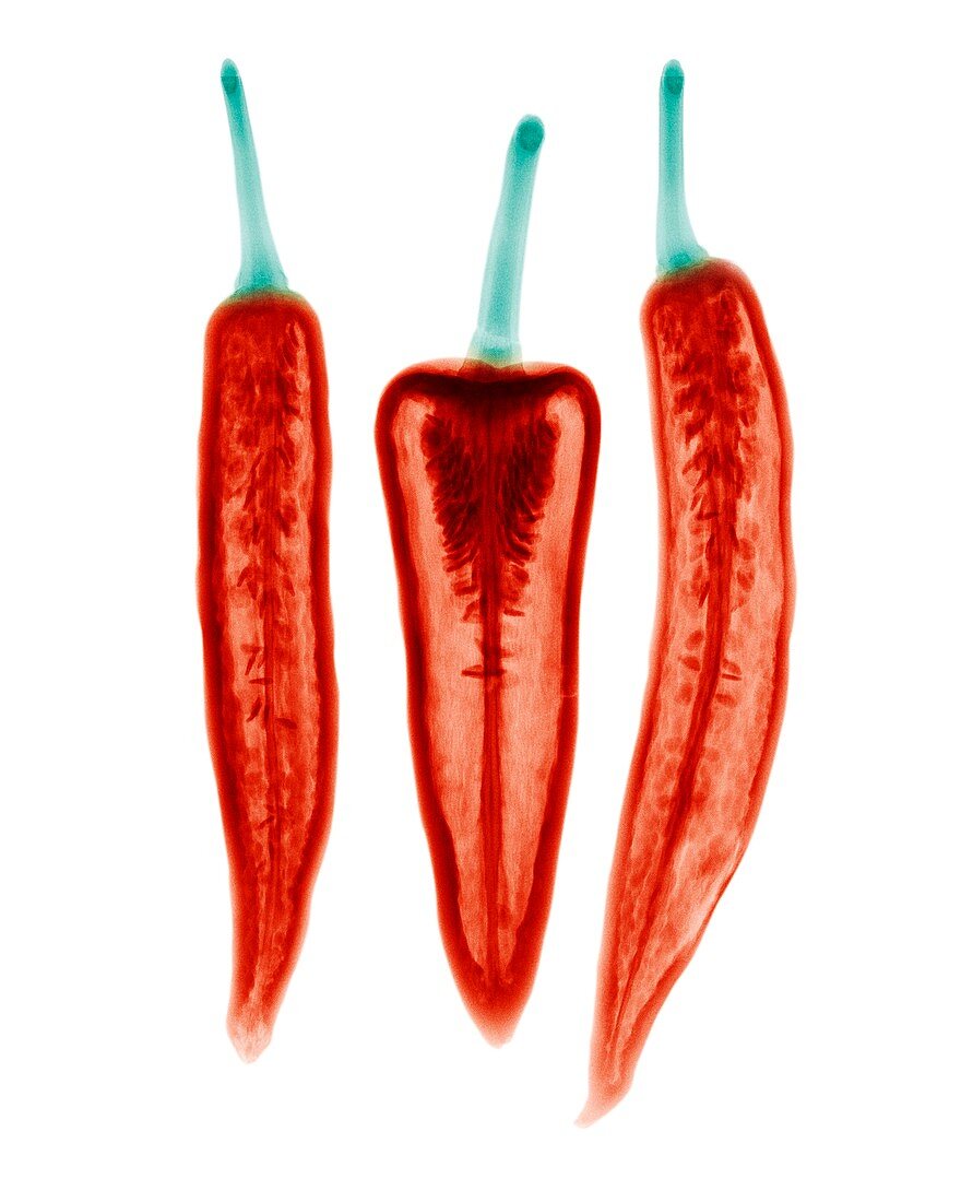 Chilli peppers,X-ray